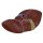 Leber-Modell mit Gallenblase - 3B Smart Anatomy