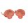 Harnapparat-Modell, zweigeschlechtig, 6-tlg - 3B Smart Anatomy