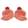 Harnapparat-Modell, zweigeschlechtig, 6-tlg - 3B Smart Anatomy