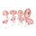 Pregnancy Models Series, 8 Individual Embryo & Fetus Models - 3B Smart Anatomy