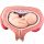 Fetus Model, 5th Month in Dorsal Position - 3B Smart Anatomy
