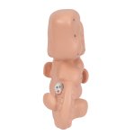 Embryo-Modell, 25-fache Größe - 3B Smart Anatomy