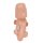Embryo-Modell, 25-fache Größe - 3B Smart Anatomy