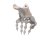 Handskelett-Modell mit elastischen Bändern - 3B Smart Anatomy