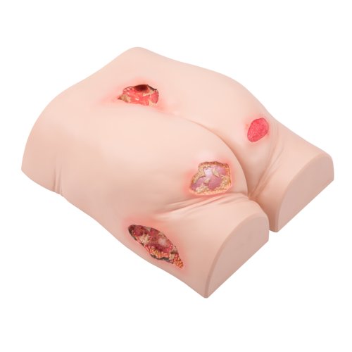 Decubitus trainer - light