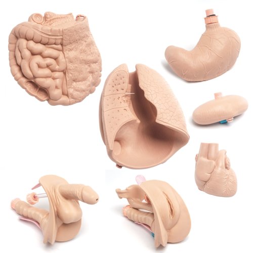 Nachrüst-Set für P11 Pflegepuppe