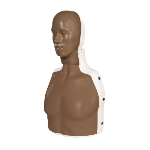 BasicBilly life support simulator, dark