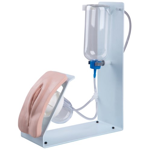 3B Catheterization Simulator BASIC, female