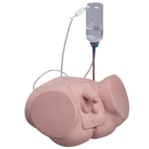 3B Catheterization Simulator PRO, male