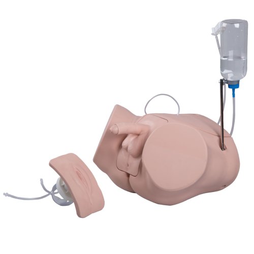 Catheterization Simulator PRO Set