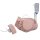 Catheterization Simulator PRO Set