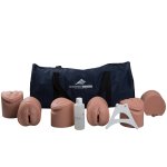 3B Geburtsstadien Trainer - hell