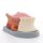 Tongue Model, 2.5 times Life-Size, 4 part - 3B Smart Anatomy