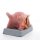 Tongue Model, 2.5 times Life-Size, 4 part - 3B Smart Anatomy