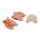 Tongue Model, 2.5 times Life-Size, 4 part - 3B Smart Anatomy