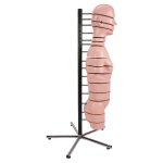 Torso-Modell mit 15 Schnittebenen - 3B Smart Anatomy
