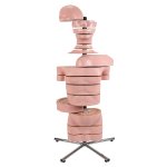 Torso-Modell mit 15 Schnittebenen - 3B Smart Anatomy