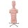 Torso-Modell mit 15 Schnittebenen - 3B Smart Anatomy