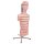 Torso-Modell mit 15 Schnittebenen - 3B Smart Anatomy
