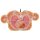 Torso-Modell mit 15 Schnittebenen - 3B Smart Anatomy