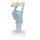 Larynx Model, Functional, 3x magnified - 3B Smart Anatomy