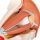 Eye Model, 5x magnified, 12 part - 3B Smart Anatomy