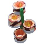 4-Piece Bronchus Model