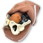 Modellset abdominale Palpation