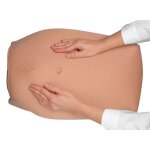 Modellset abdominale Palpation