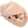 Modellset abdominale Palpation