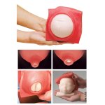 Fetal Monitoring and Labor Progress Model Set