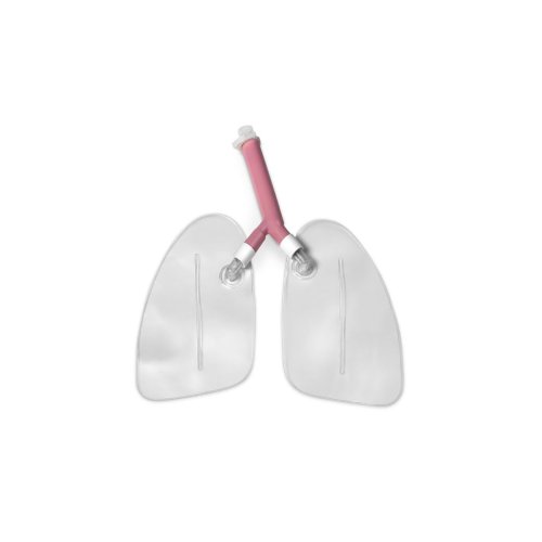 Airway Larry Lungen