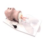 Airway Larry Airway Management Trainer with Stand
