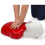 Basic Buddy CPR Torso, 10 pcs