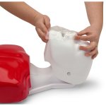 Basic Buddy CPR Torso, 5 pcs