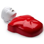 Basic Buddy CPR Torso 1 pcs