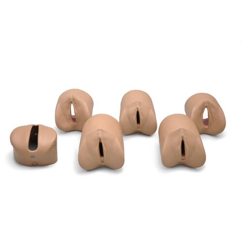 Cervical Dilation Modules for birthing simulator GM10686