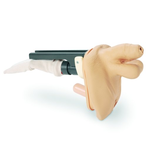 GEri/KERi Replacement Genitalia, Male
