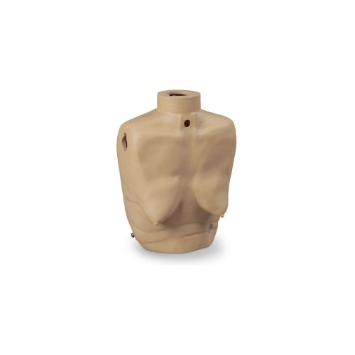 GERi Upper Torso