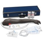 Life/form Advanced Venipuncture and Injection Arm, Dark Skin