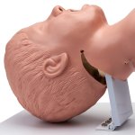 Advanced Child Airway Management Trainer