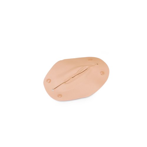 Ersatz Vulva Einsatz für Geburtssimulator