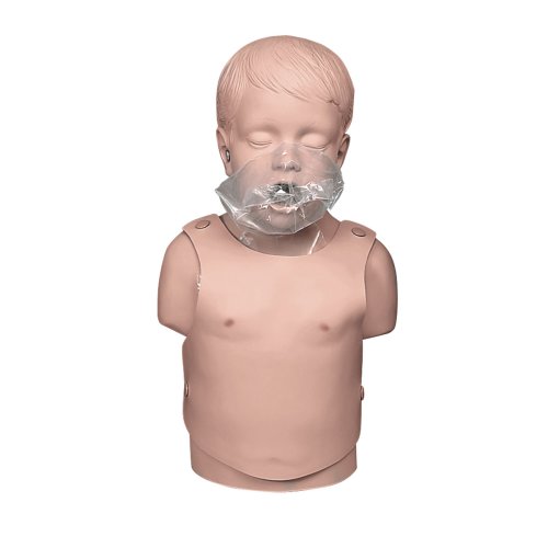 Child CPR Torso
