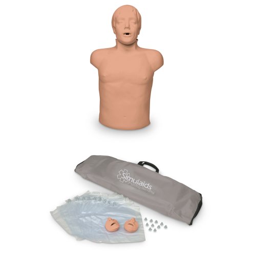 HLW Torso Brad