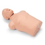 Brad Adult CPR Torso