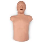 HLW Torso Brad