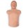 HLW Torso Brad