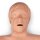 HLW Torso Brad