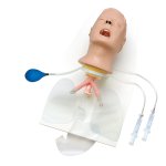 Advanced Airway Larry Trainer Head with Stand