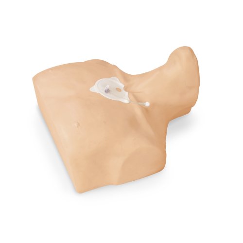 Sternaler intraossärer Infusionssimulator, Erwachsener